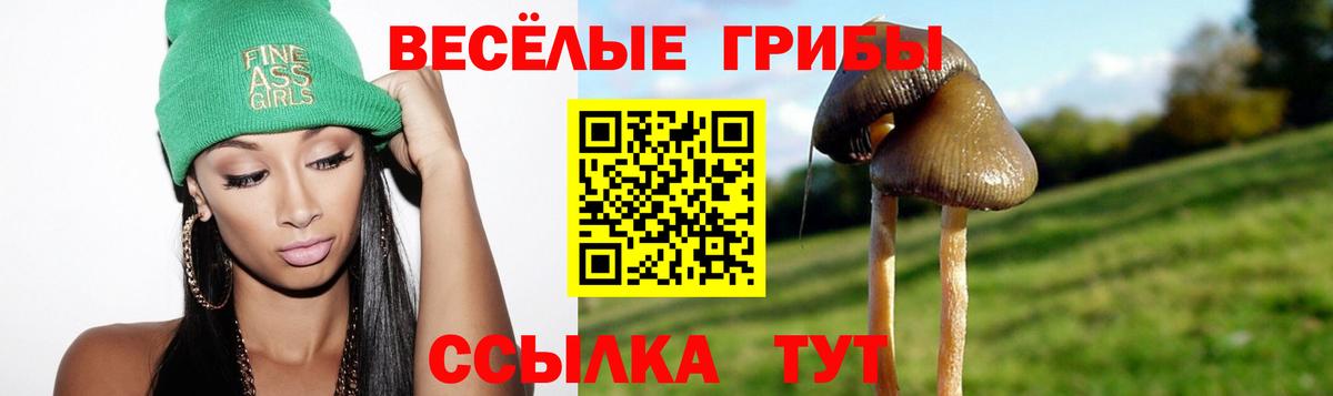 Псилоцибиновые грибы мицелий Учалы